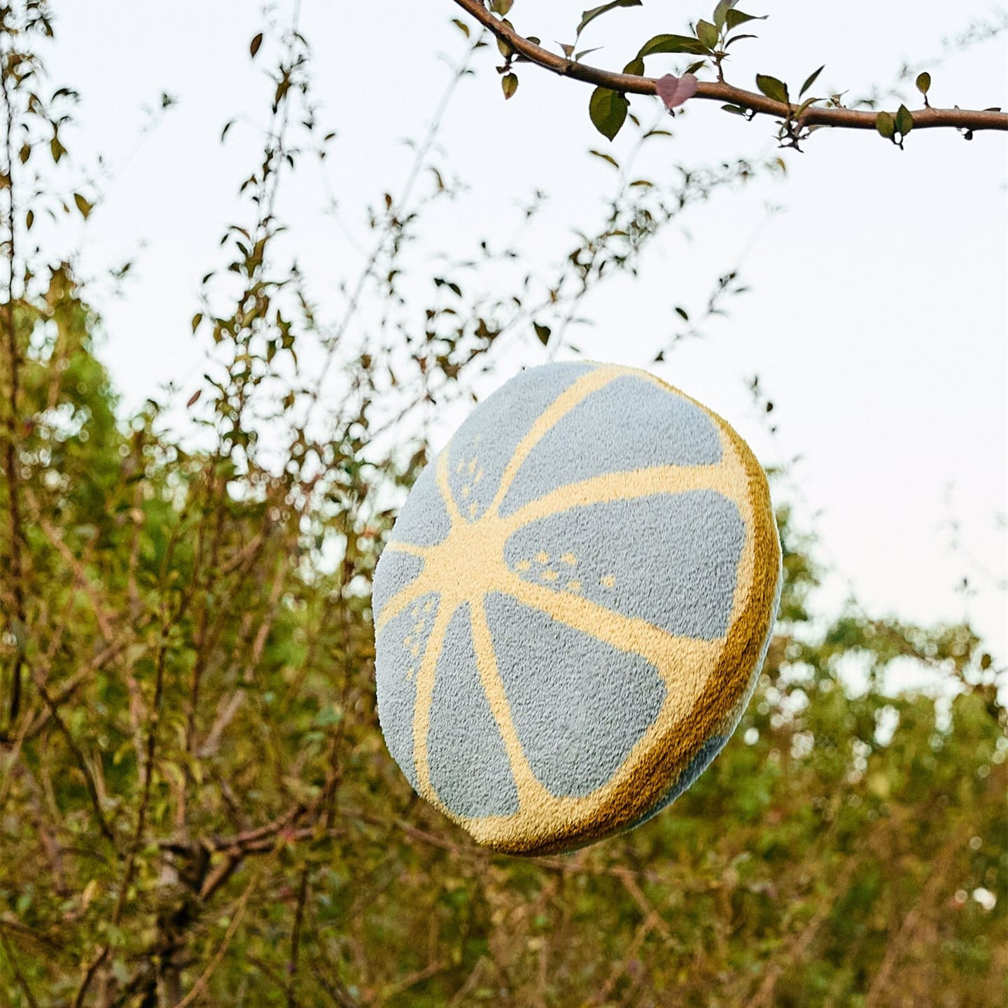 Soft Cozy Lemon Slice Pattern Round Decorative Throw Pillow