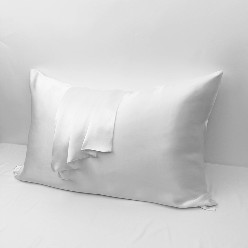 2 Pieces 16 Momme 100% Pure Mulberry Silk Pillowcases with Hidden Zipper